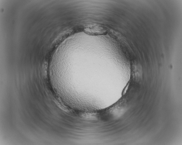 X0000081280664200701251629