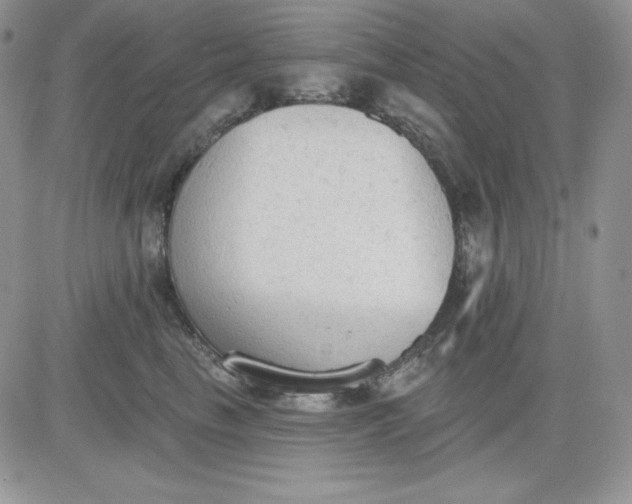 X0000081280665200701251629