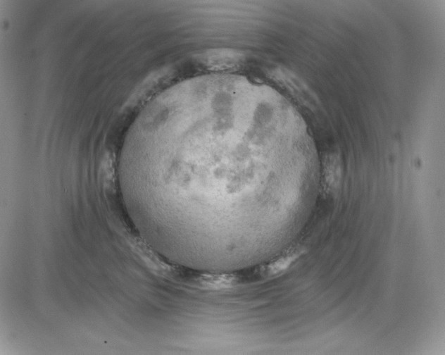 X0000081280667200701251629