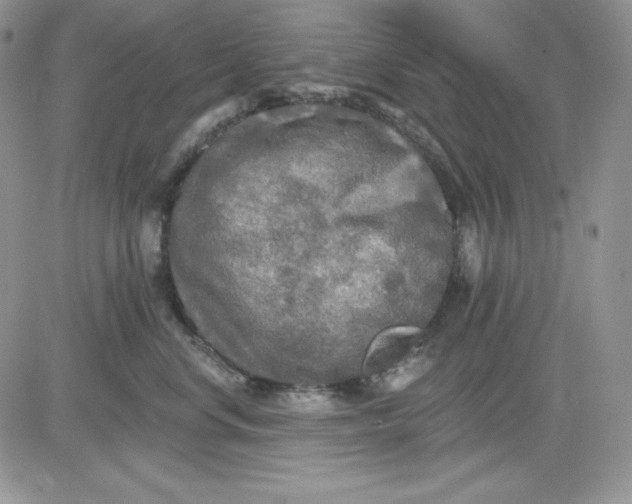 X0000081280668200701251629