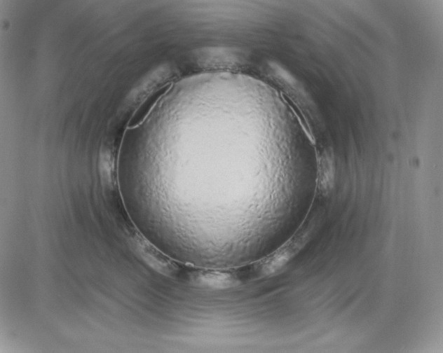 X0000081280669200701251629