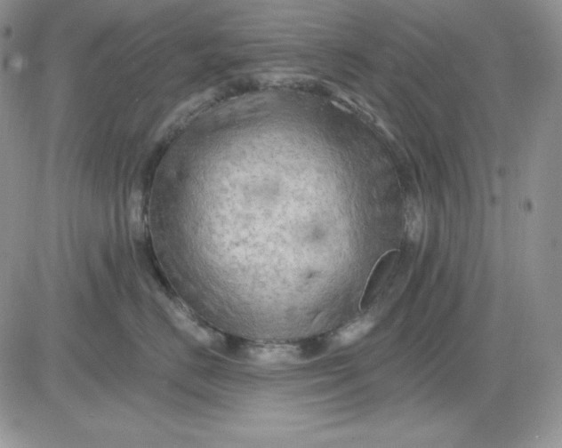 X0000081280670200701251629