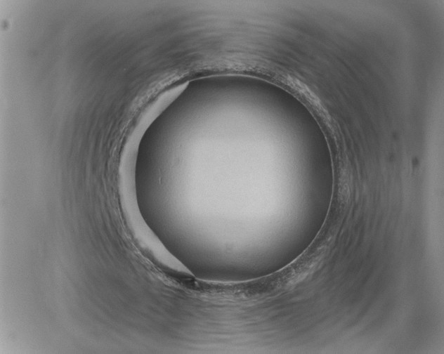 X0000081280673200701251628