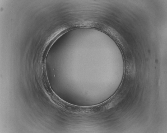 X0000081280674200701251628