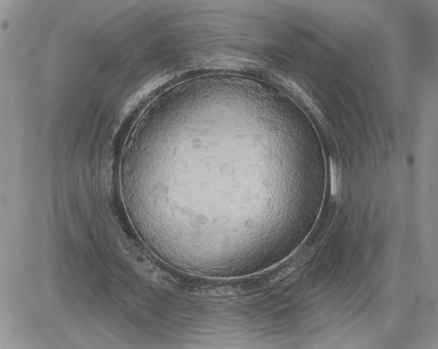 X0000081280675200701251628