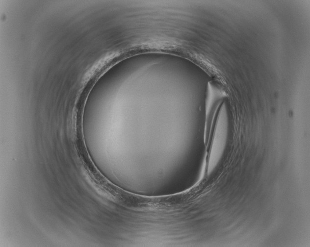 X0000081280678200701251628