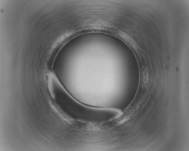 X0000081280680200701251628