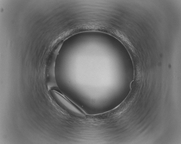 X0000081280681200701251628