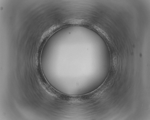 X0000081280682200701251628