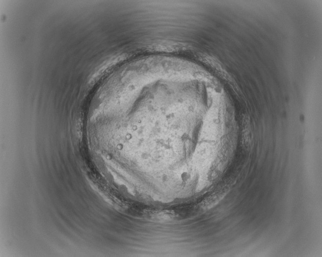 X0000081280683200701251628