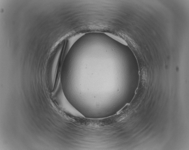 X0000081280684200701251628