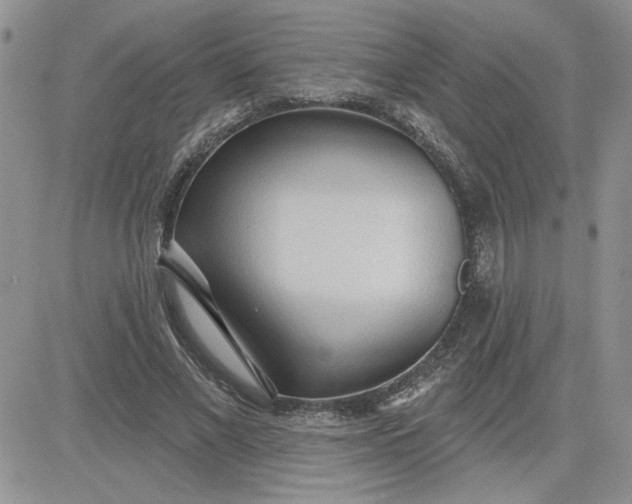 X0000081280685200701251628