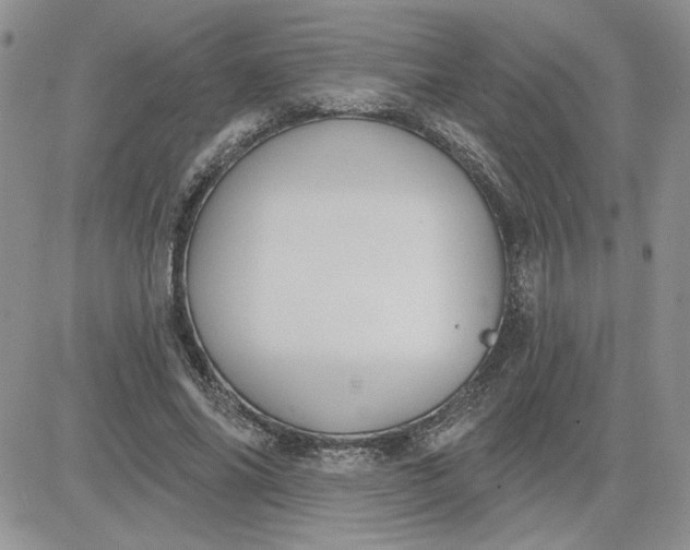 X0000081280686200701251628