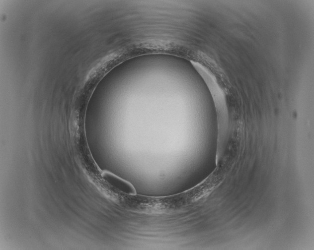 X0000081280688200701251628