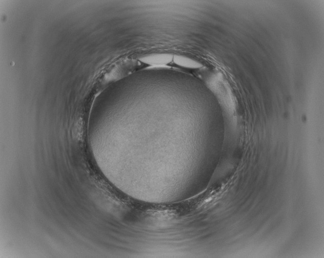 X0000081280689200701251628