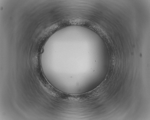 X0000081280690200701251628