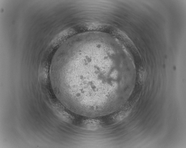 X0000081280691200701251628