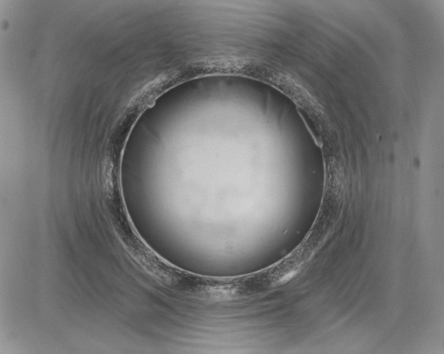 X0000081280692200701251628