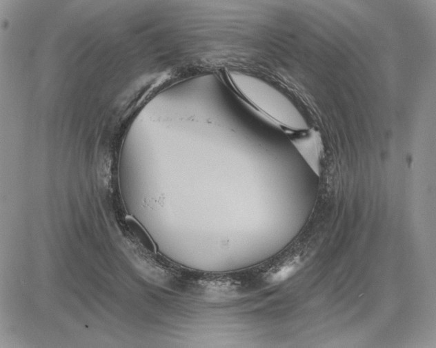 X0000081280693200701251628