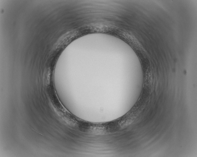 X0000081280694200701251628