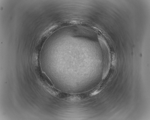 X0000081280696200701251628