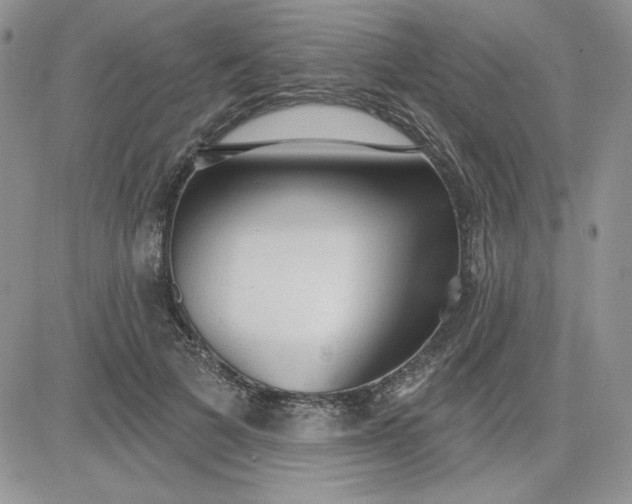 X0000081280697200701251628