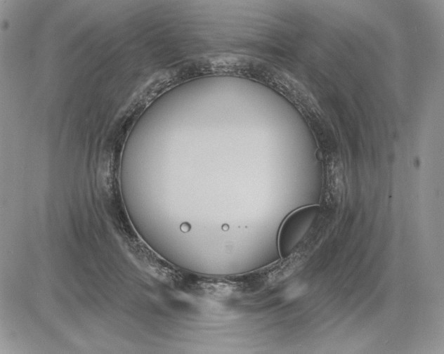 X0000081280698200701251628