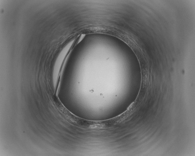 X0000081280700200701251628