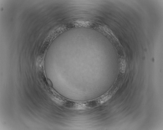 X0000081280701200701251628