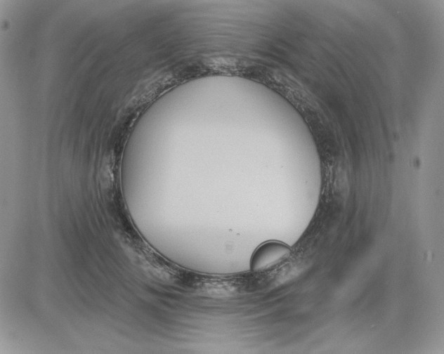 X0000081280702200701251628