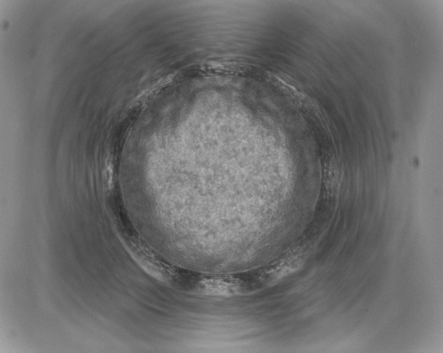 X0000081280703200701251628