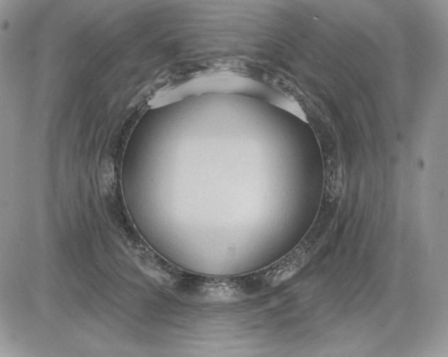 X0000081280704200701251628