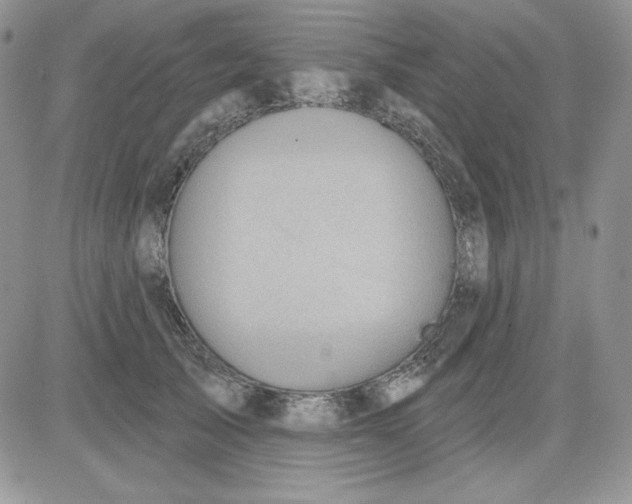 X0000081280705200701251628