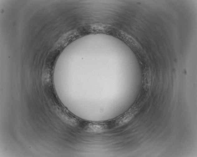 X0000081280706200701251628