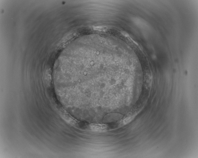 X0000081280707200701251628