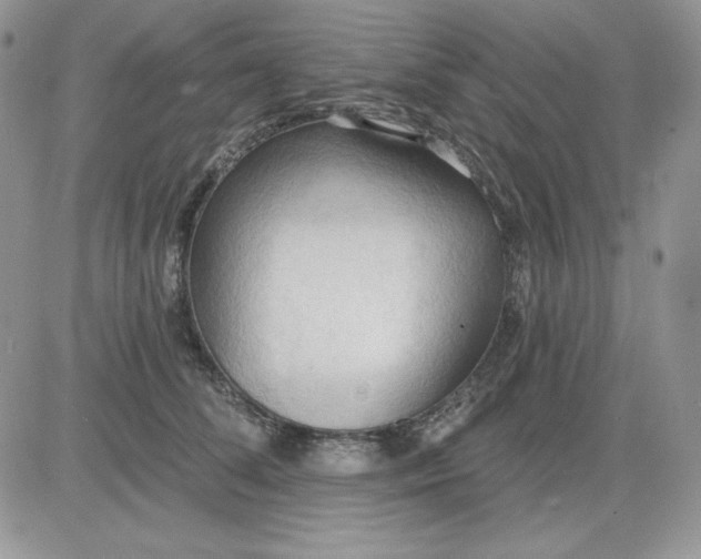 X0000081280708200701251628