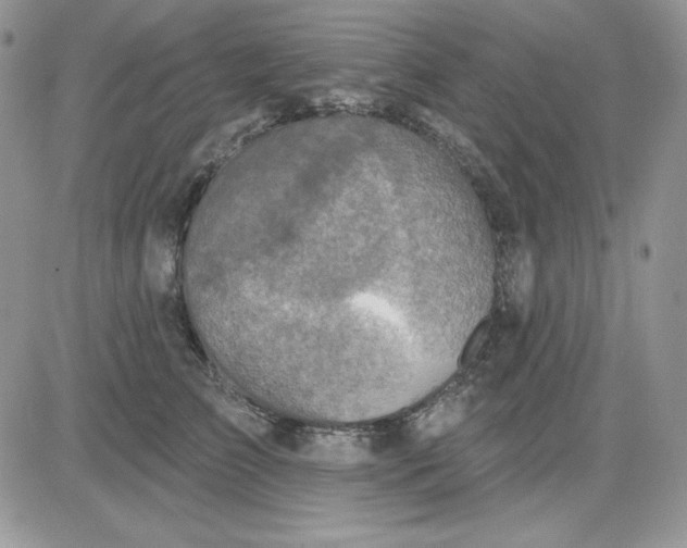 X0000081280709200701251628