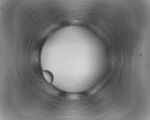 X0000081280710200701251628