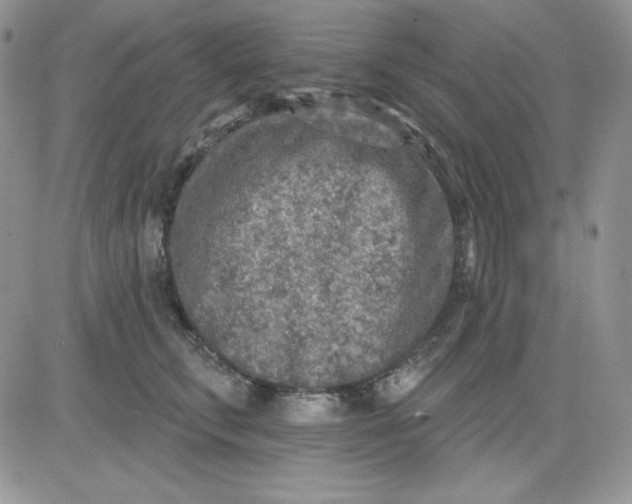 X0000081280711200701251628