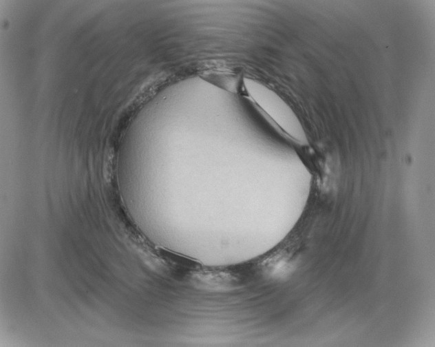 X0000081280712200701251628