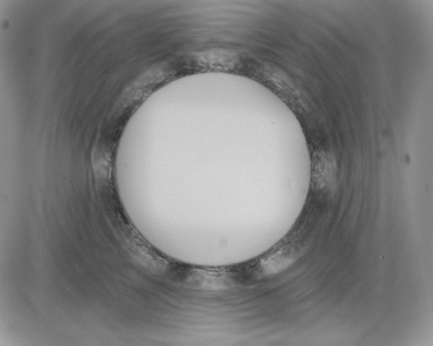 X0000081280713200701251628