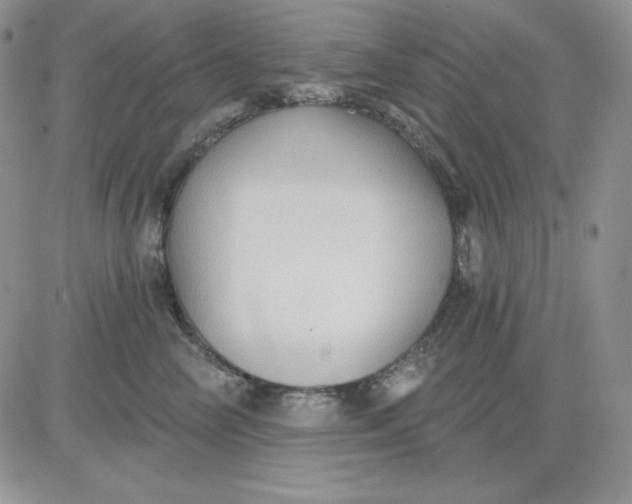 X0000081280714200701251628