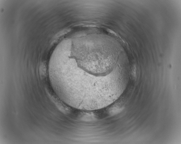 X0000081280715200701251628