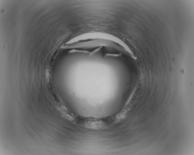 X0000081280716200701251628