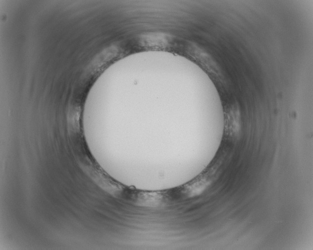 X0000081280717200701251628