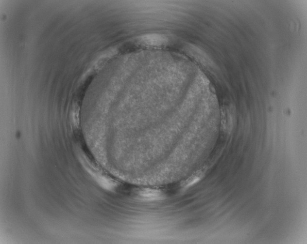 X0000081280718200701251628