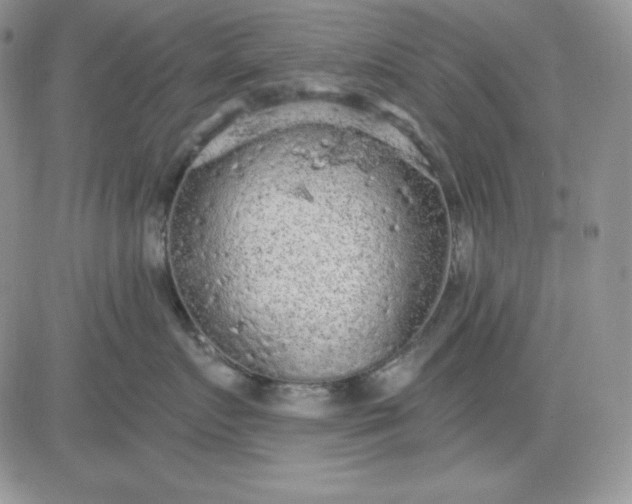 X0000081280719200701251628