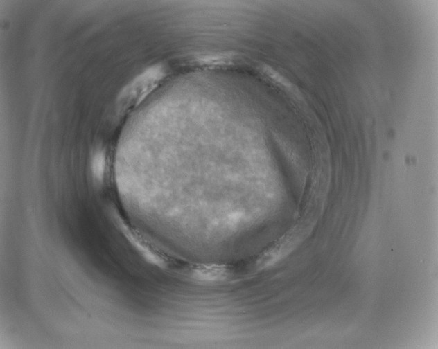 X0000081280720200701251628