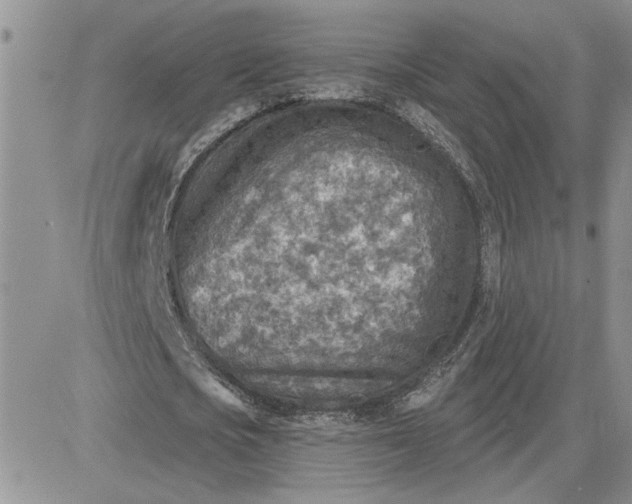 X0000081280721200701251627