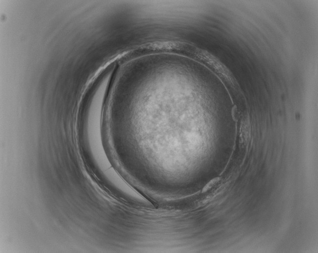 X0000081280722200701251627